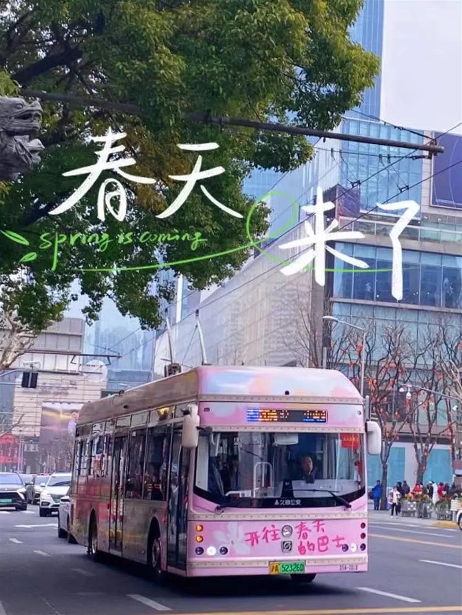 开往春天的巴士,带你打卡魔都春日浪漫