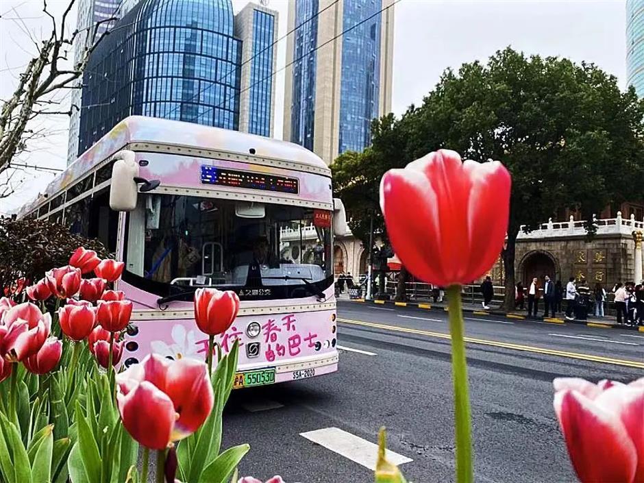开往春天的巴士,带你打卡魔都春日浪漫