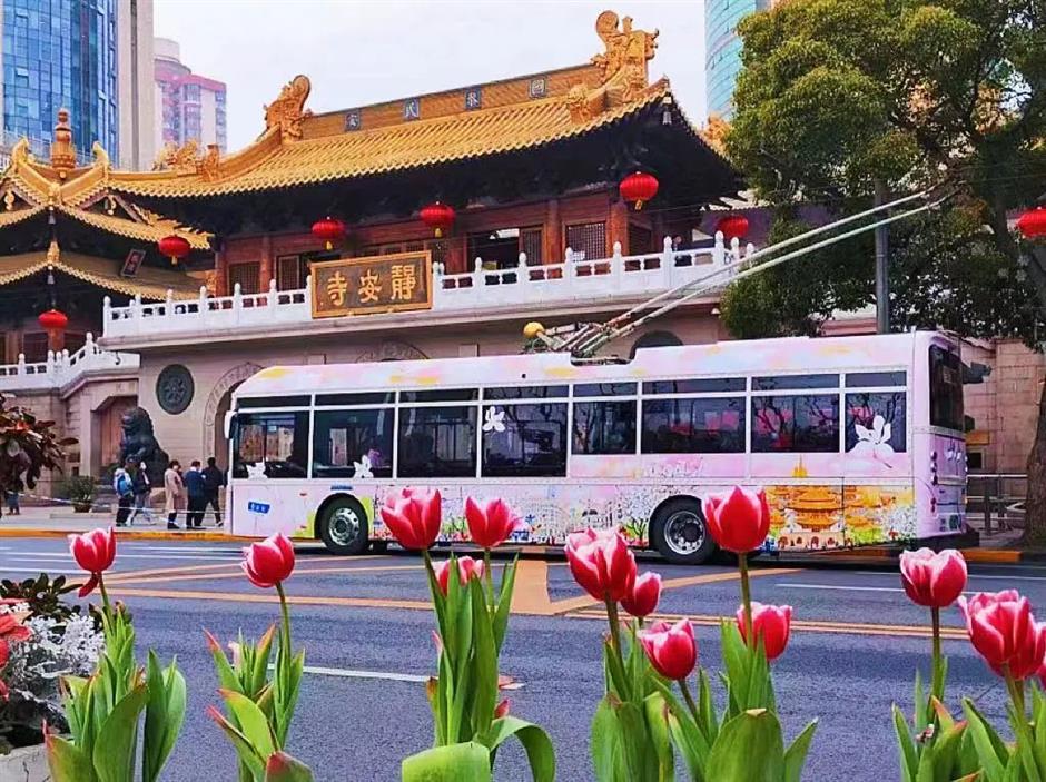 开往春天的巴士,带你打卡魔都春日浪漫
