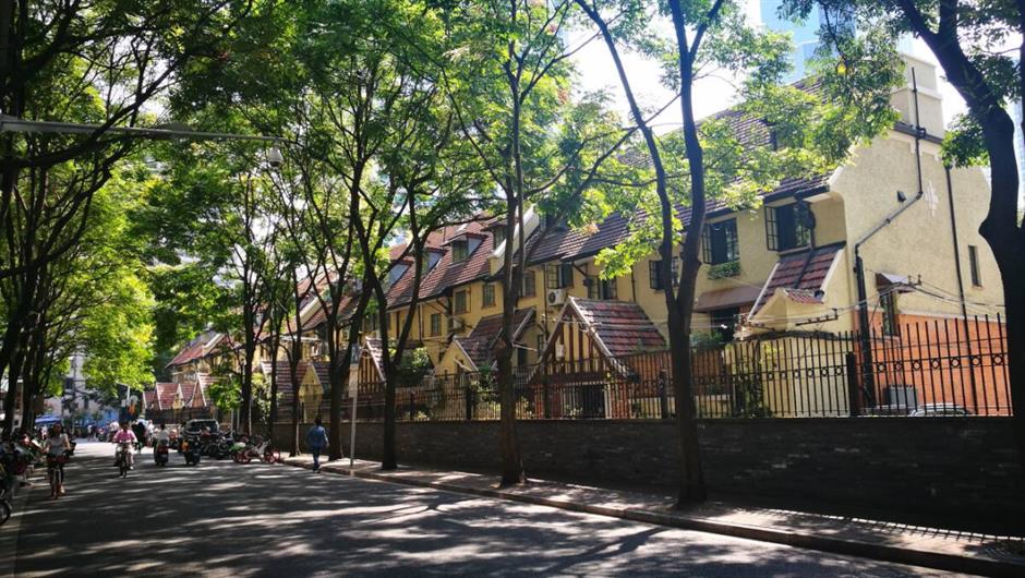 开往春天的巴士,带你打卡魔都春日浪漫