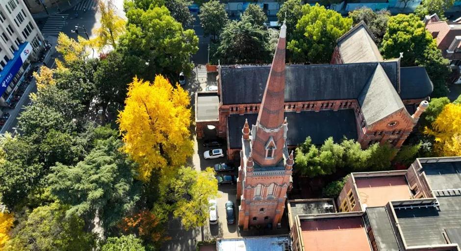 开往春天的巴士,带你打卡魔都春日浪漫