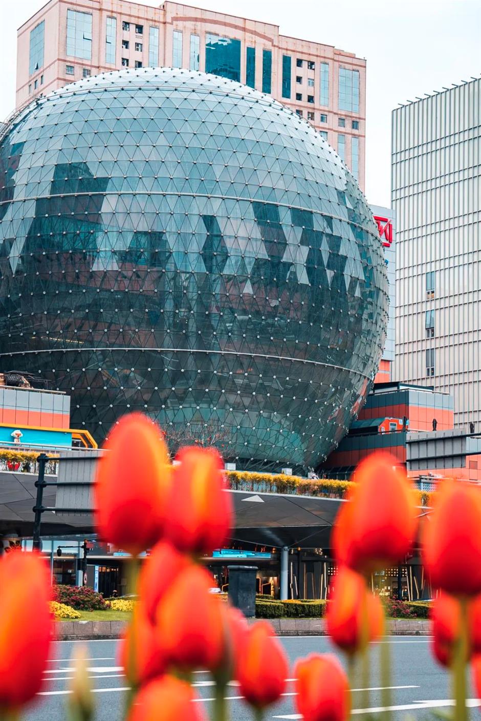 跟着上海最早盛开的郁金香,来一场市中心的Citywalk!