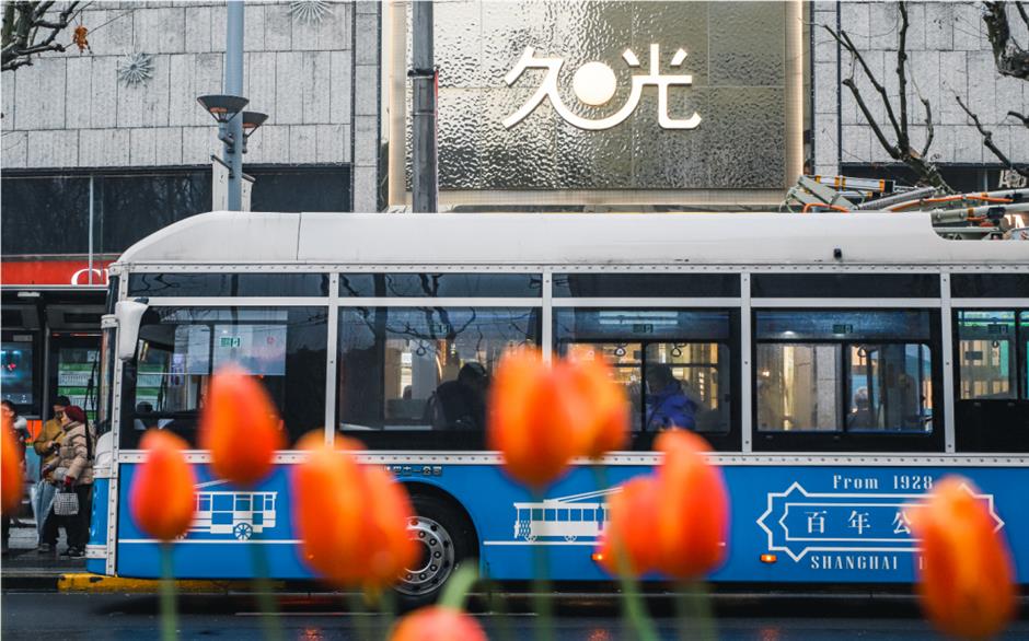 跟着上海最早盛开的郁金香,来一场市中心的Citywalk!