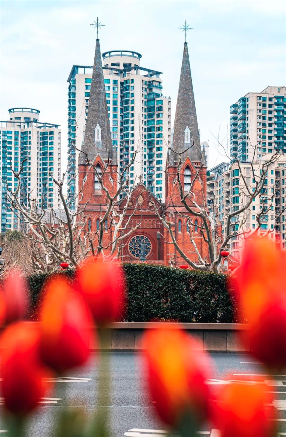 跟着上海最早盛开的郁金香,来一场市中心的Citywalk!