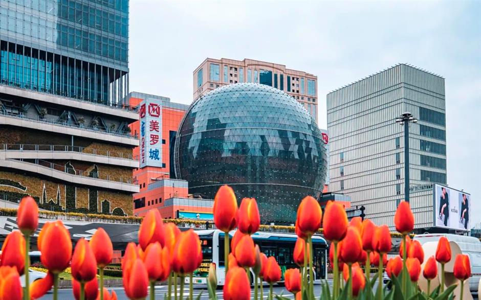 跟着上海最早盛开的郁金香,来一场市中心的Citywalk!