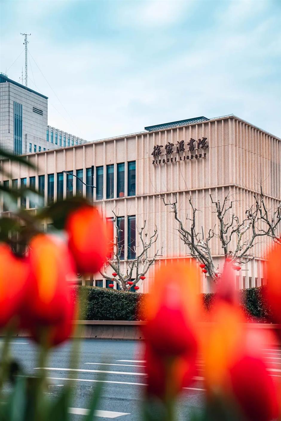 跟着上海最早盛开的郁金香,来一场市中心的Citywalk!