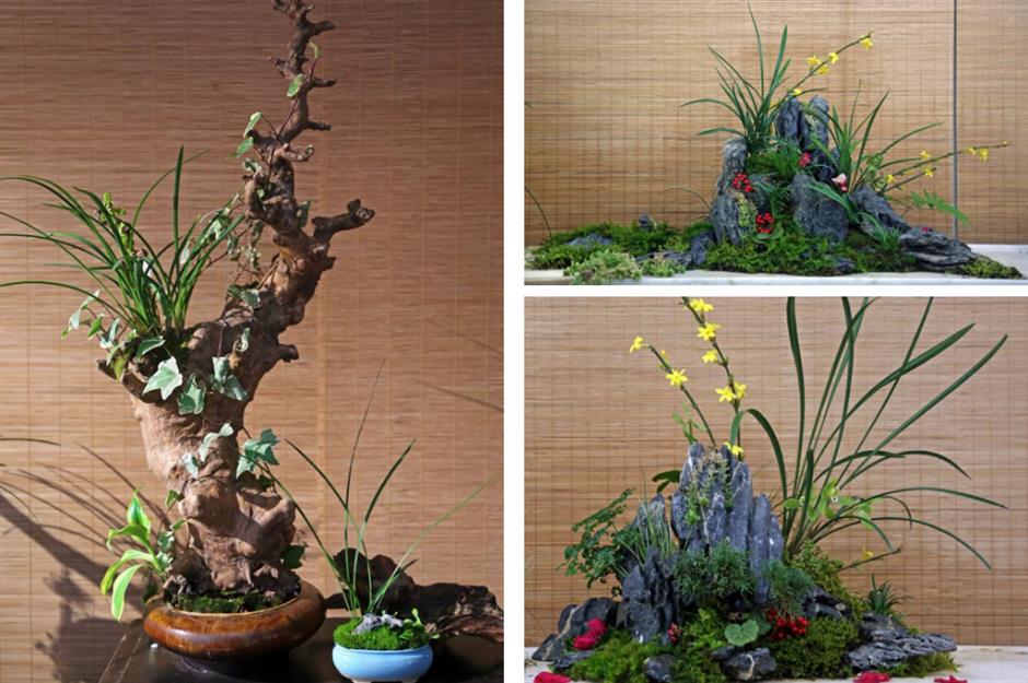 花都开好了!带上上海春日赏花指南出发