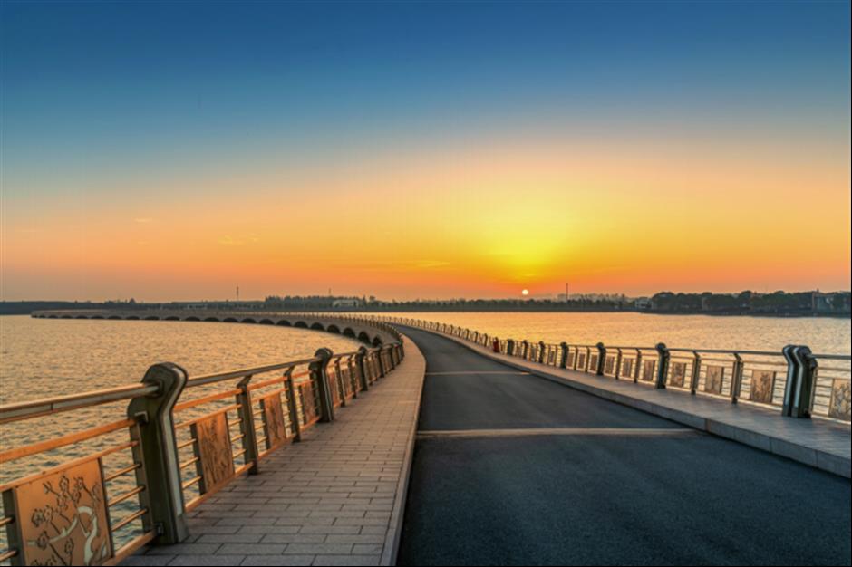 周末去哪?打卡网红园林,