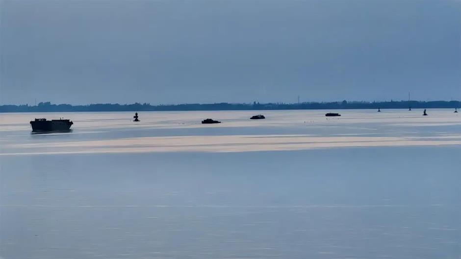 周末去哪?打卡网红园林,