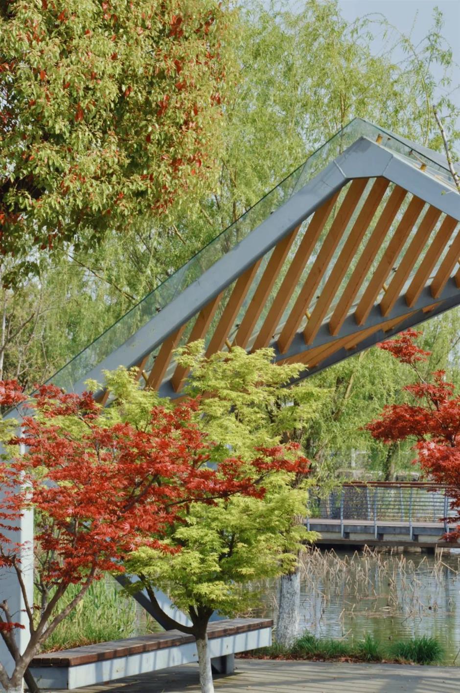 周末去哪?打卡网红园林,