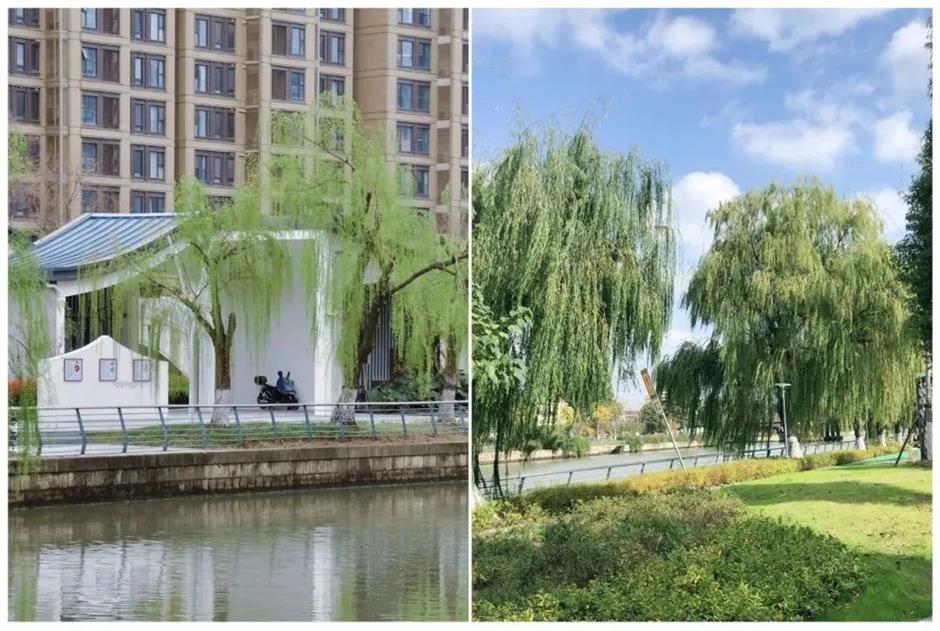 周末去哪?打卡网红园林,