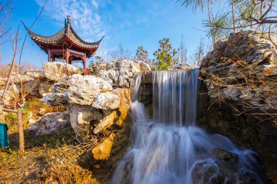 周末去哪?打卡网红园林,