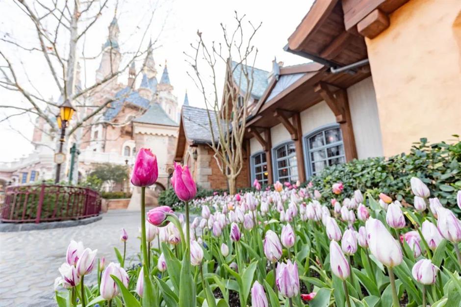 春游上海迪士尼,有這麼多新看點!