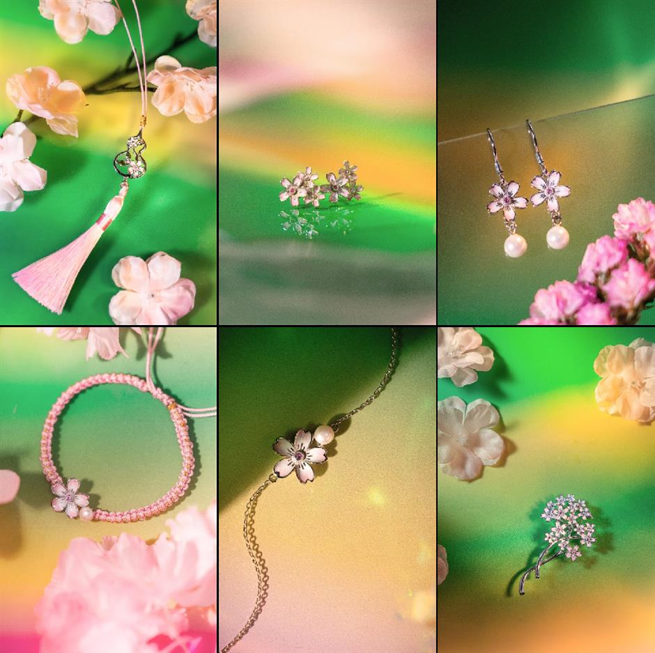 2024上海樱花节浪漫启航,邀您共赏樱花!