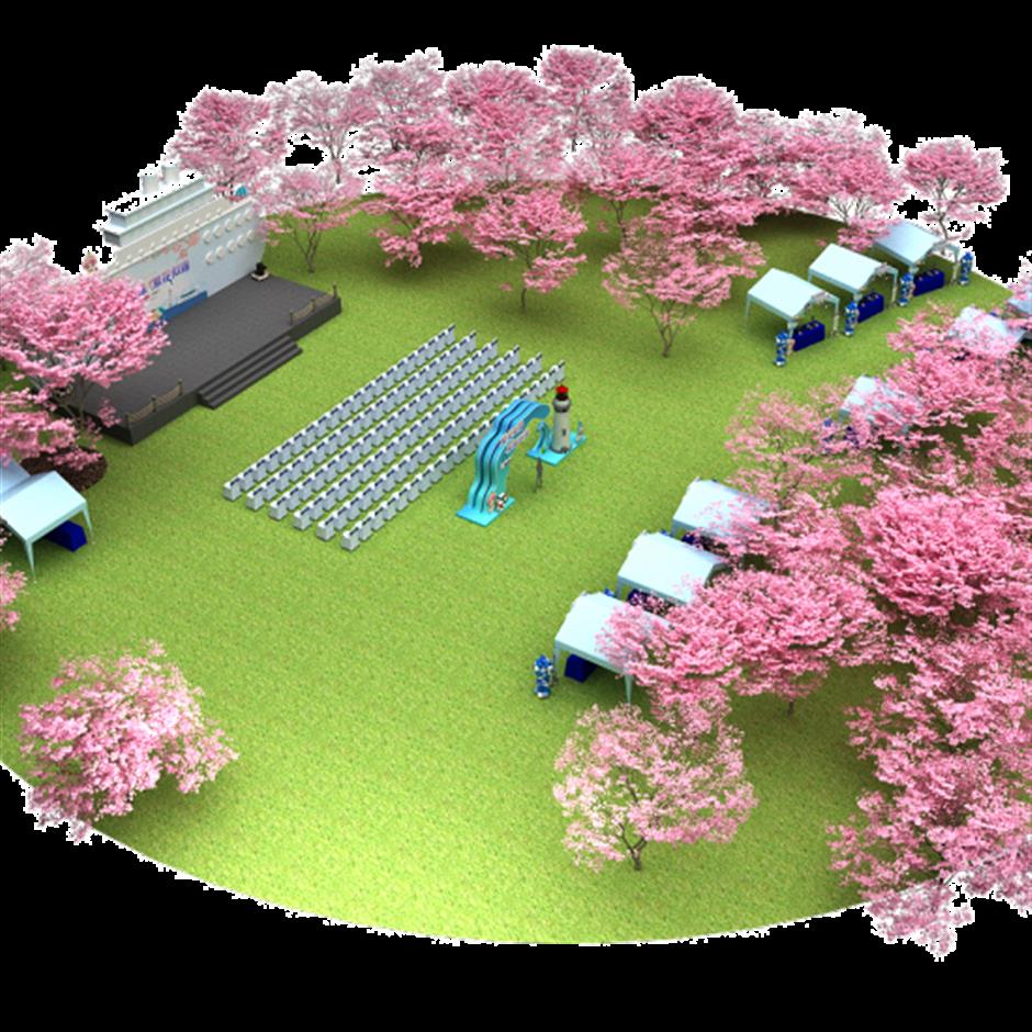 2024上海樱花节浪漫启航,邀您共赏樱花!