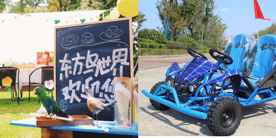 2024上海樱花节浪漫启航,邀您共赏樱花!