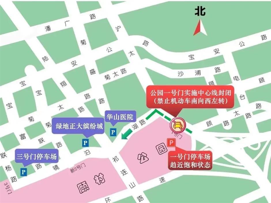 上海樱花节今天开幕,交通出行攻略在此!