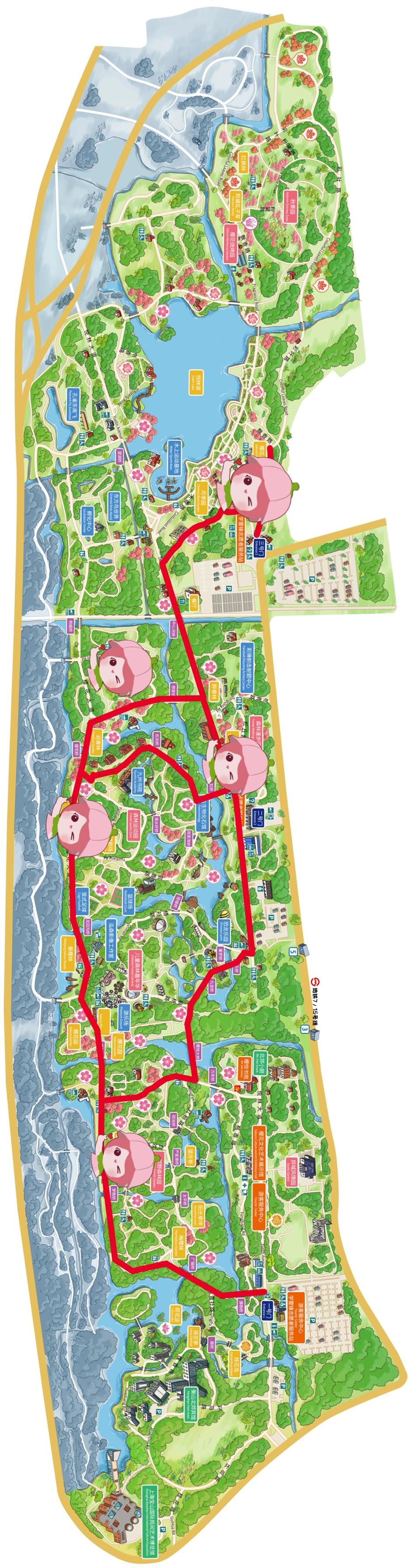 上海樱花节今天开幕,交通出行攻略在此!