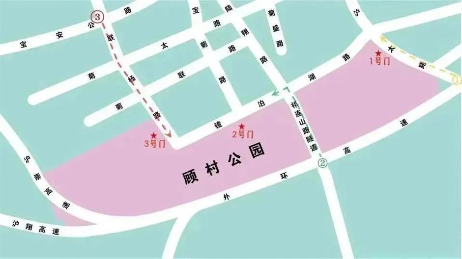 上海樱花节今天开幕,交通出行攻略在此!