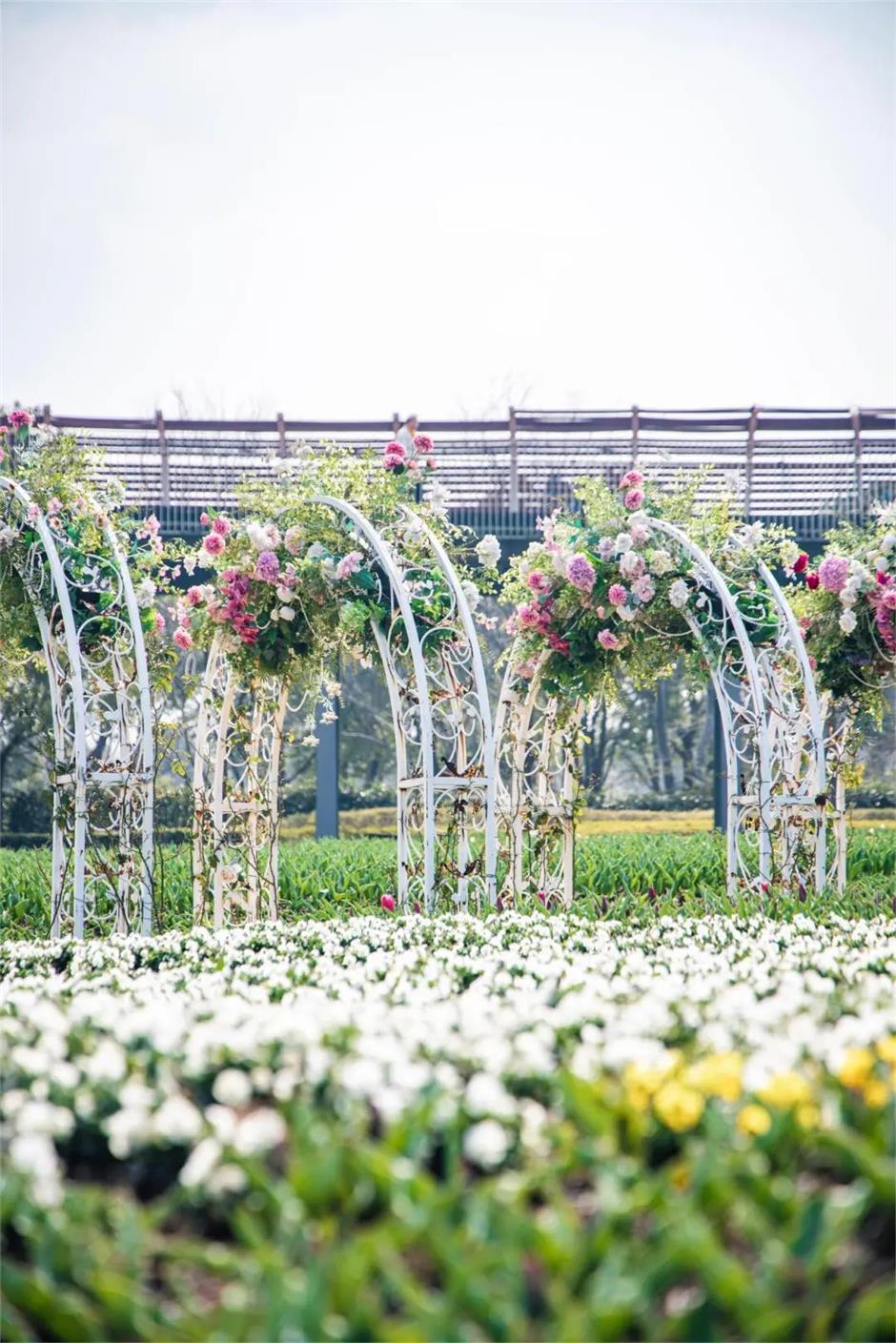 45米巨龙盘踞上海这座城堡!还有百万株鲜花梦幻盛放!