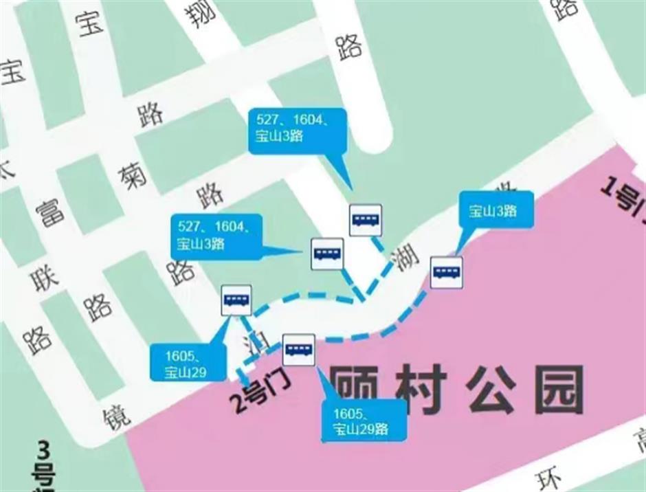 上海樱花节今天开幕,交通出行攻略在此!