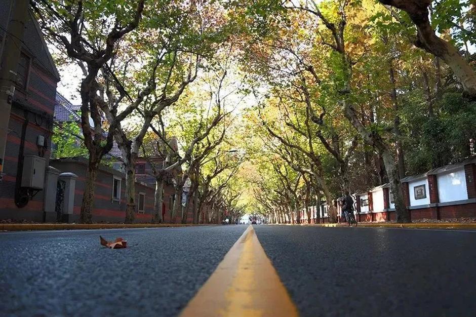 鲁迅存书室焕新归来,来溧阳路探寻