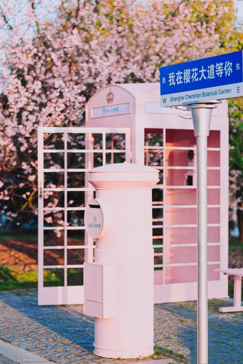 粉、蓝、红、紫、黄……快去打卡上海彩色的春天