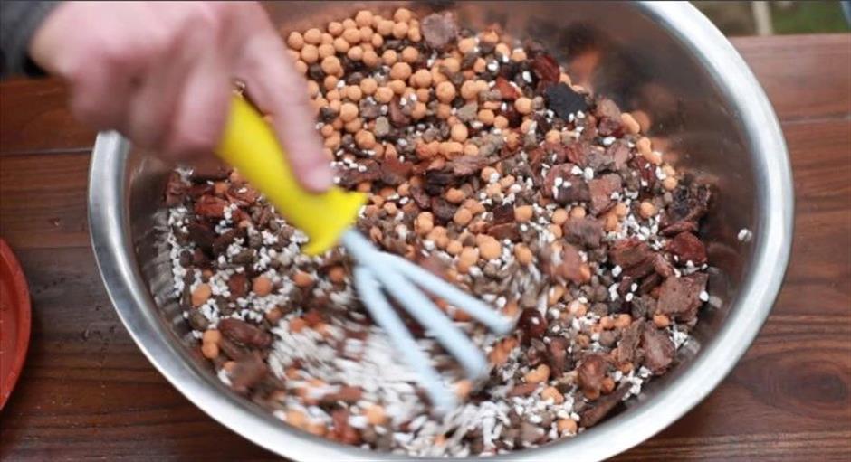 春日的浪漫,少不了那一朵空谷幽兰|非遗新体验