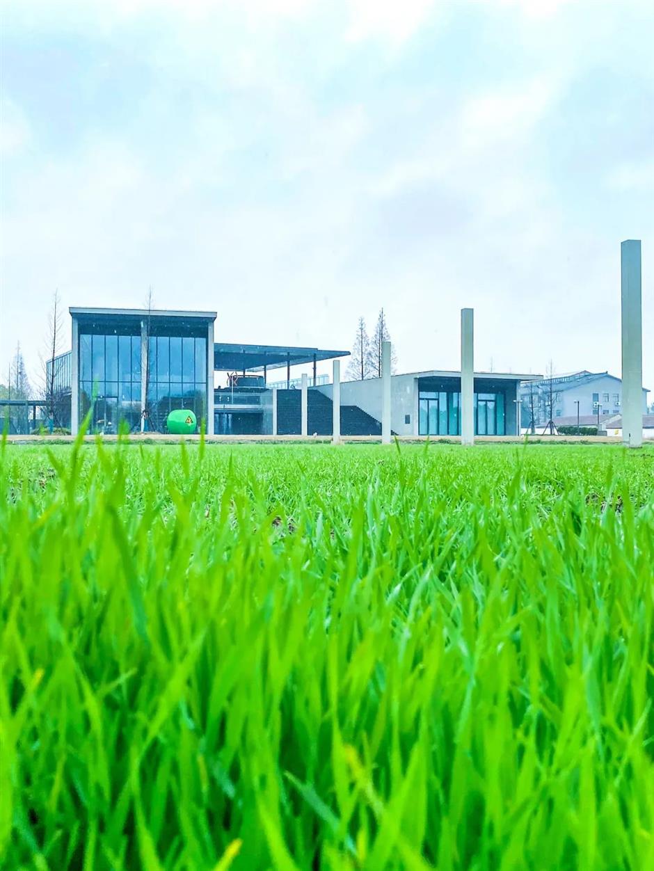 郊遊不止賞花,還有→