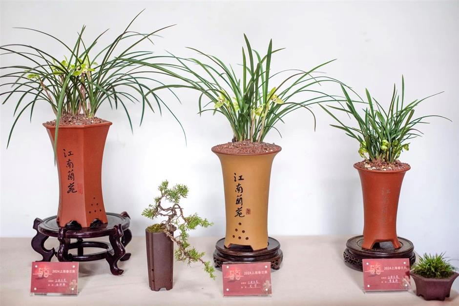 春日的浪漫,少不了那一朵空谷幽兰|非遗新体验