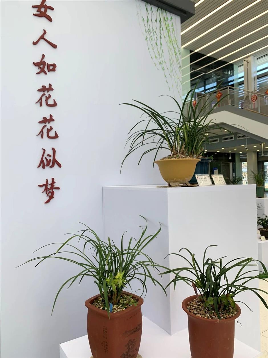 春日的浪漫,少不了那一朵空谷幽兰|非遗新体验