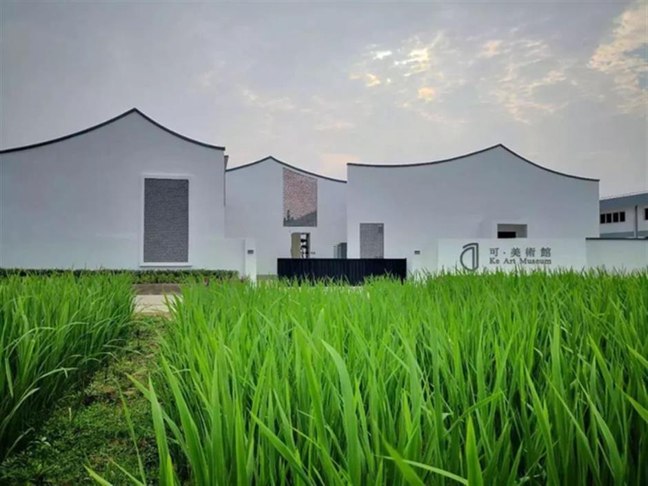 郊遊不止賞花,還有→