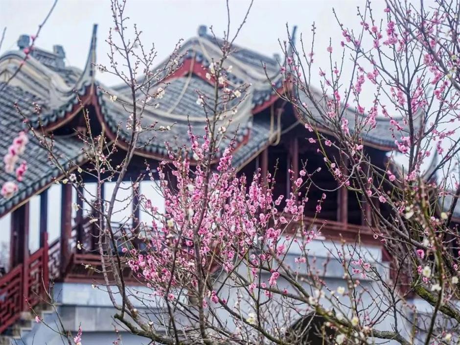 花朝節來了!明天,一起來踏青