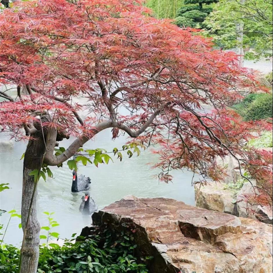 週末來打卡,享受悠然慢生活