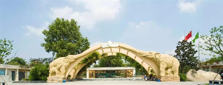 复古翻红出圈,还记得你童年时光里的