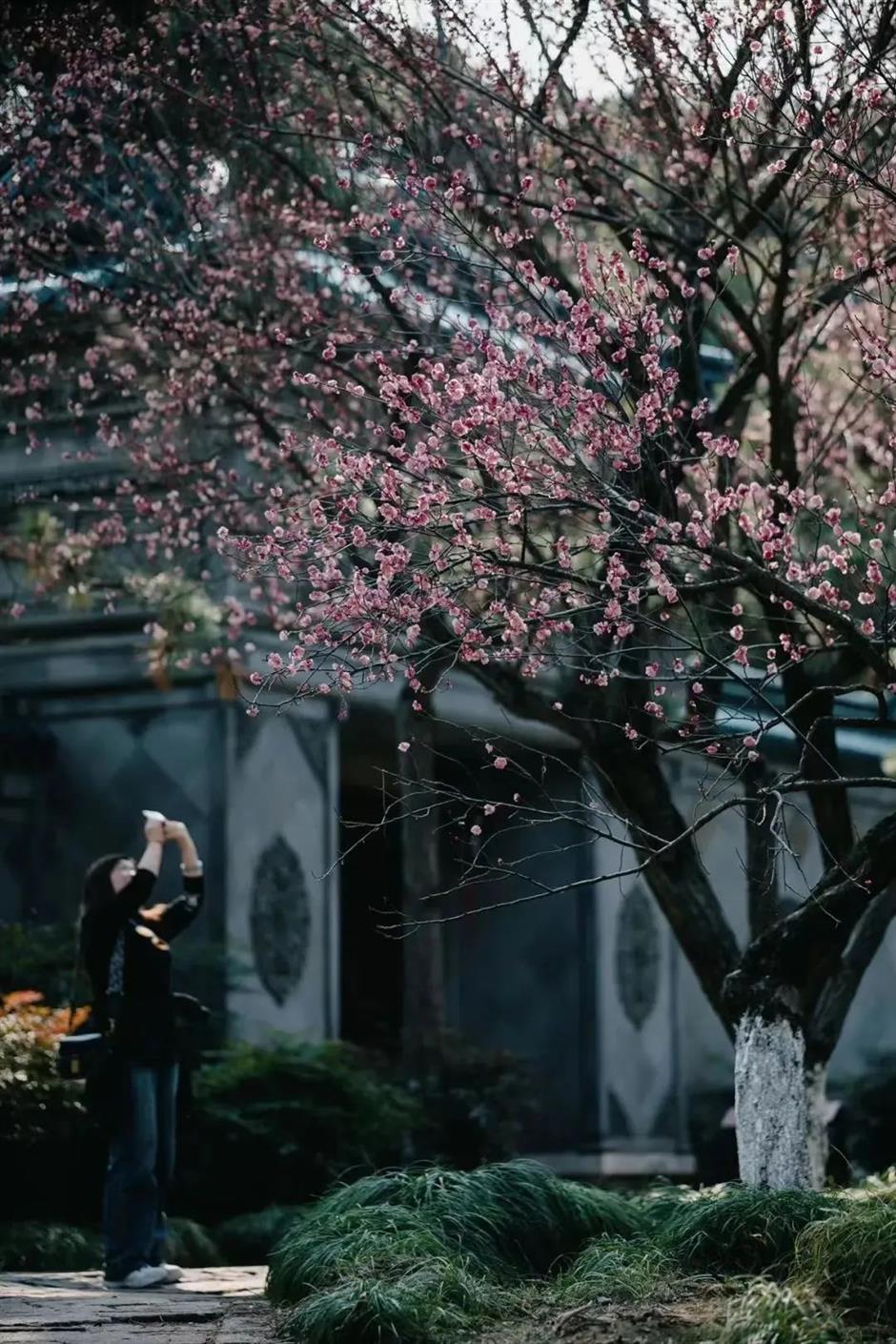 免费游、半价游!收好这份限定攻略,畅游江南水乡~