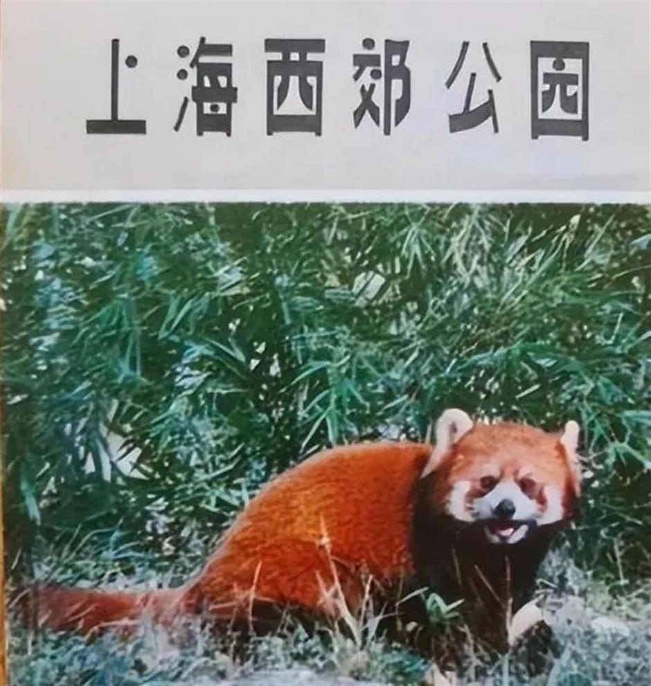 复古翻红出圈,还记得你童年时光里的