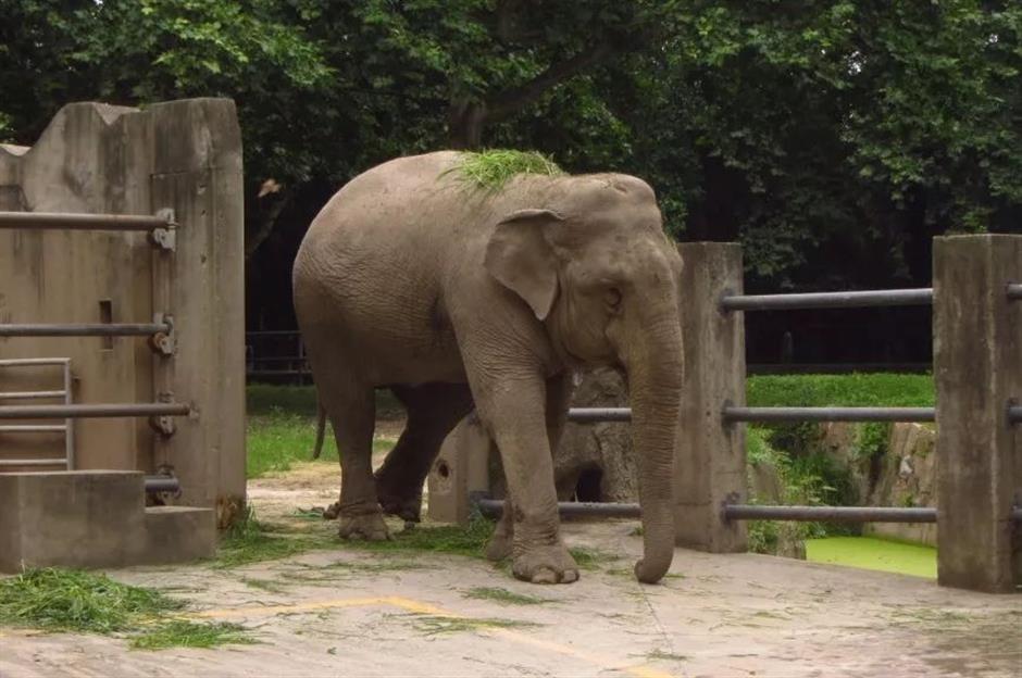 复古翻红出圈,还记得你童年时光里的