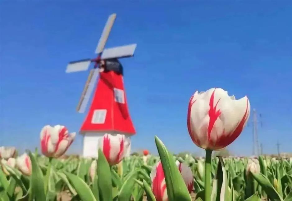 週末來打卡,享受悠然慢生活