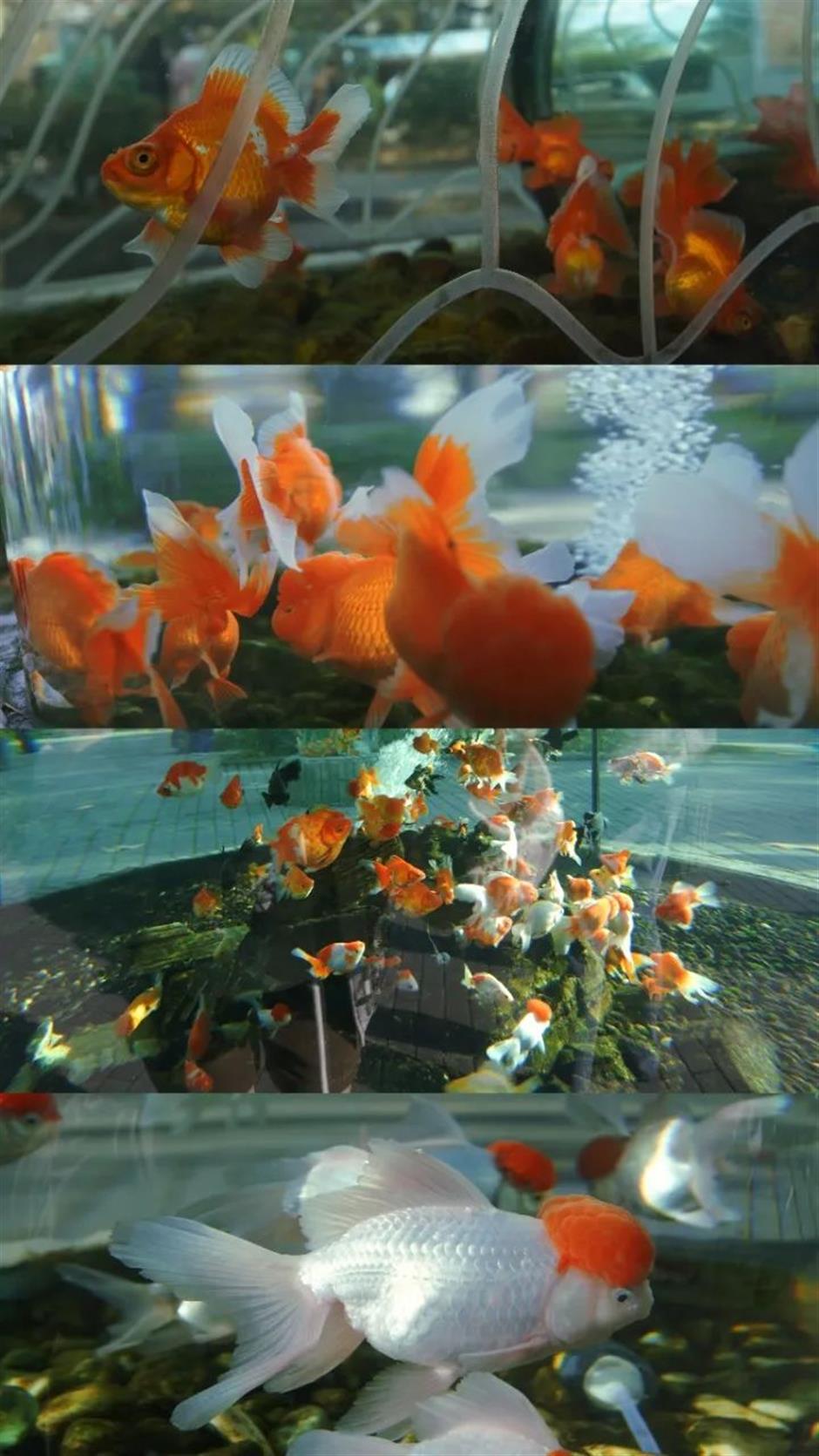 复古翻红出圈,还记得你童年时光里的