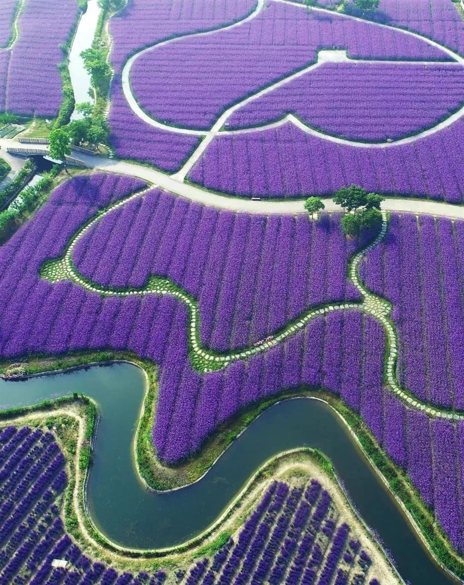 免费游、半价游!收好这份限定攻略,畅游江南水乡~