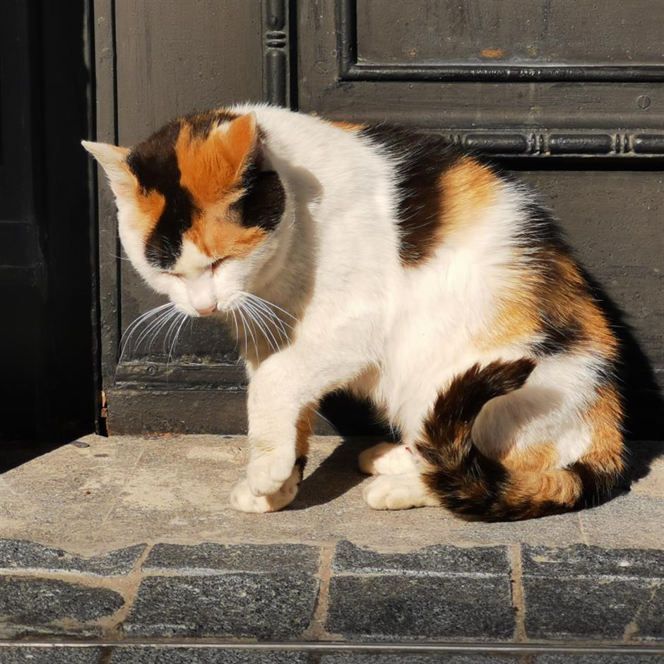 超好用的參觀攻略,
一起玩轉博物館
