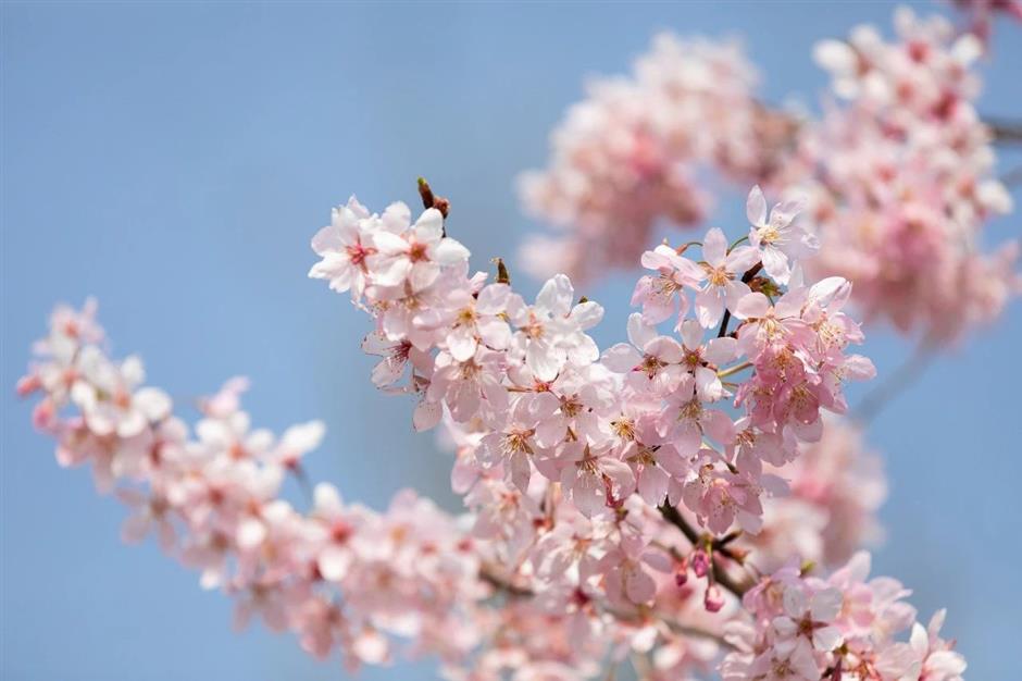 这个花花世界要开了,限时限定免费游园