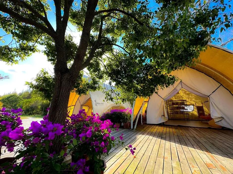 这个花花世界要开了,限时限定免费游园