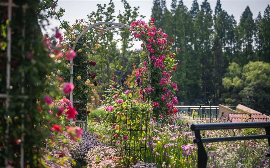 这个花花世界要开了,限时限定免费游园