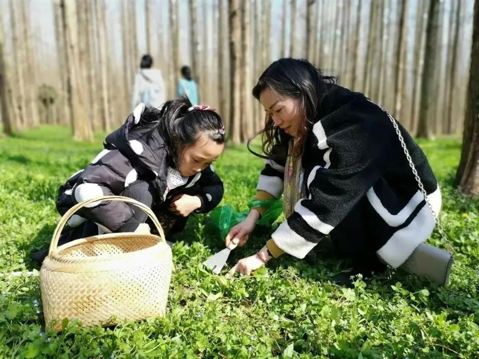 这个花花世界要开了,限时限定免费游园
