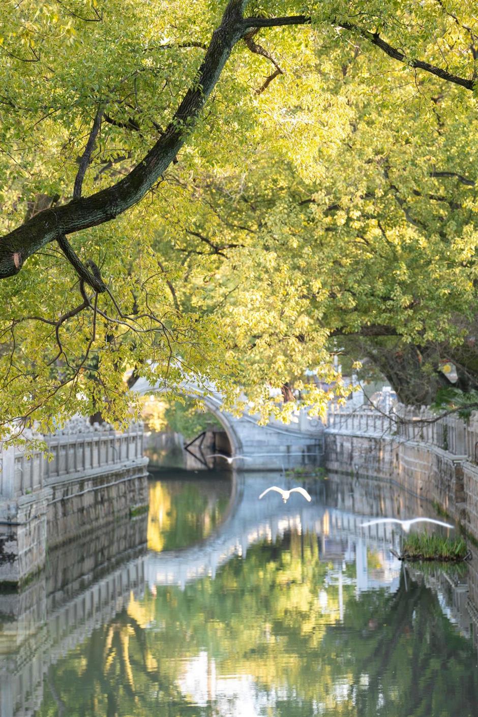 春遊必去!打卡這些老城裡的好去處