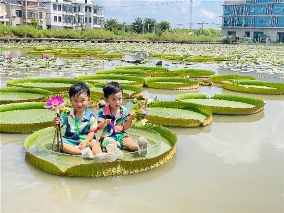 颜值、内涵都能打的