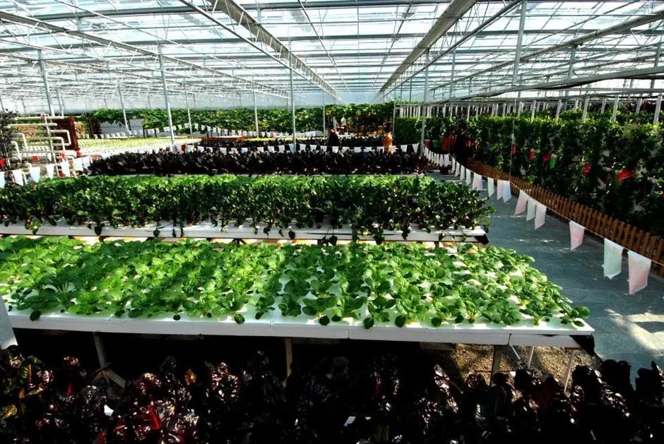 颜值、内涵都能打的