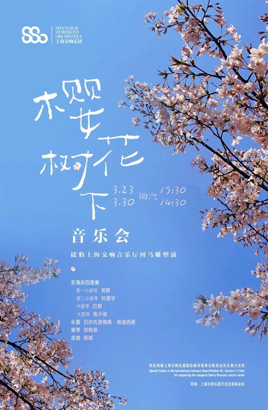 太宠粉了!免费打卡一场浪漫樱花音乐会